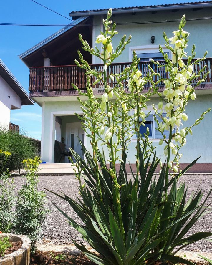 Apartman Lena Tusilovic Bagian luar foto